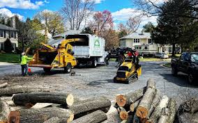  Prudhoe Bay, AK Tree Removal and Landscaping Services Pros